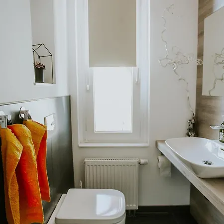 Apartment Traumhaftes Am Dom Mit Großer Dachterrasse Zwickau