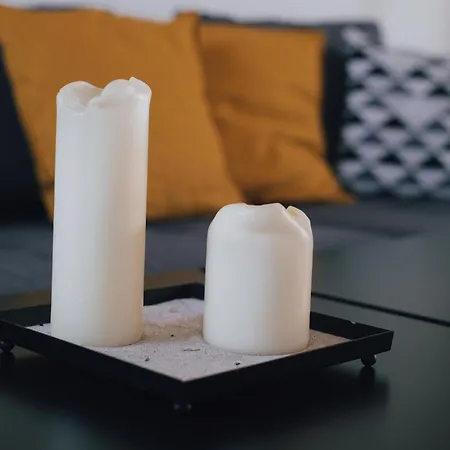 Traumhaftes Am Dom Mit Großer Dachterrasse Zwickau