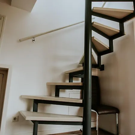 Traumhaftes Am Dom Mit Großer Dachterrasse Zwickau